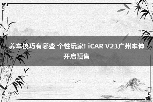 养车技巧有哪些 个性玩家! iCAR V23广州车伸开启预售