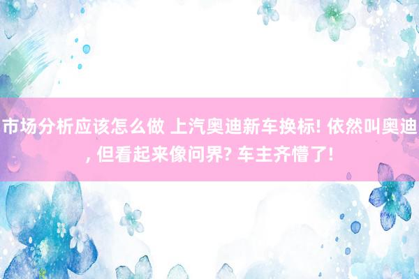 市场分析应该怎么做 上汽奥迪新车换标! 依然叫奥迪, 但看起来像问界? 车主齐懵了!