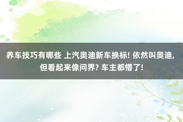 养车技巧有哪些 上汽奥迪新车换标! 依然叫奥迪, 但看起来像问界? 车主都懵了!