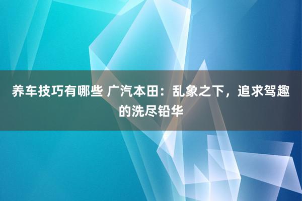 养车技巧有哪些 广汽本田：乱象之下，追求驾趣的洗尽铅华