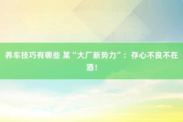 养车技巧有哪些 某“大厂新势力”：存心不良不在酒！