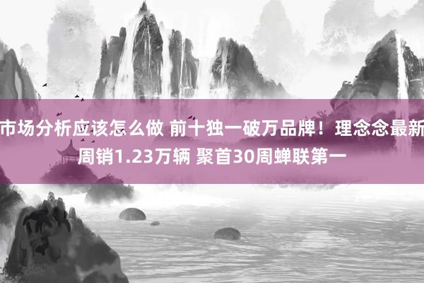 市场分析应该怎么做 前十独一破万品牌！理念念最新周销1.23万辆 聚首30周蝉联第一