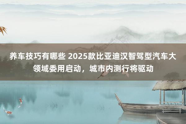 养车技巧有哪些 2025款比亚迪汉智驾型汽车大领域委用启动，城市内测行将驱动