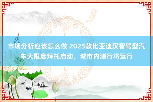 市场分析应该怎么做 2025款比亚迪汉智驾型汽车大限度拜托启动，城市内测行将运行