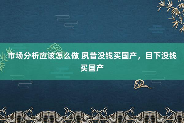 市场分析应该怎么做 夙昔没钱买国产，目下没钱买国产