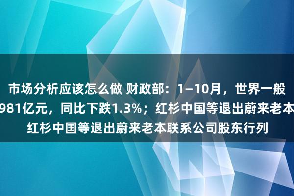 市场分析应该怎么做 财政部：1—10月，世界一般内行预算收入184981亿元，同比下跌1.3%；红杉中国等退出蔚来老本联系公司股东行列