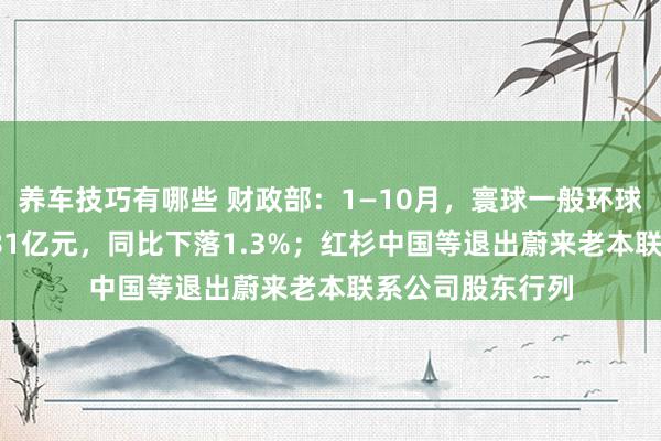 养车技巧有哪些 财政部：1—10月，寰球一般环球预算收入184981亿元，同比下落1.3%；红杉中国等退出蔚来老本联系公司股东行列