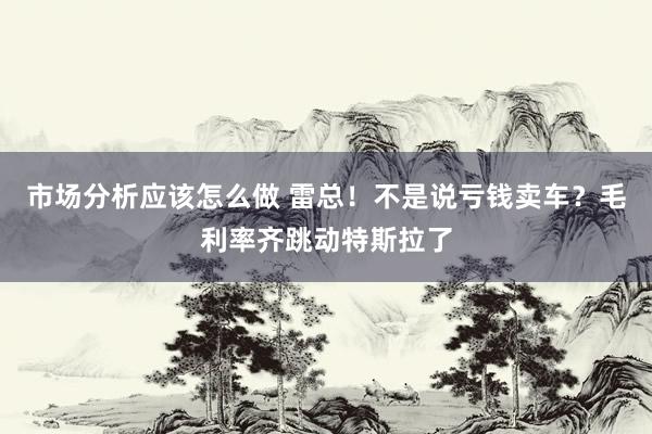 市场分析应该怎么做 雷总！不是说亏钱卖车？毛利率齐跳动特斯拉了