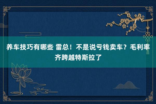 养车技巧有哪些 雷总！不是说亏钱卖车？毛利率齐跨越特斯拉了