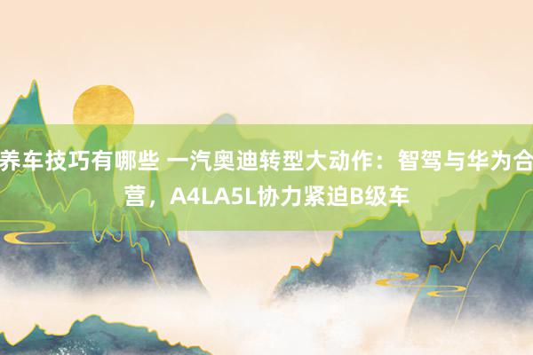 养车技巧有哪些 一汽奥迪转型大动作：智驾与华为合营，A4LA5L协力紧迫B级车