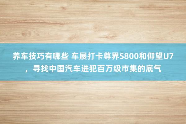 养车技巧有哪些 车展打卡尊界S800和仰望U7，寻找中国汽车进犯百万级市集的底气