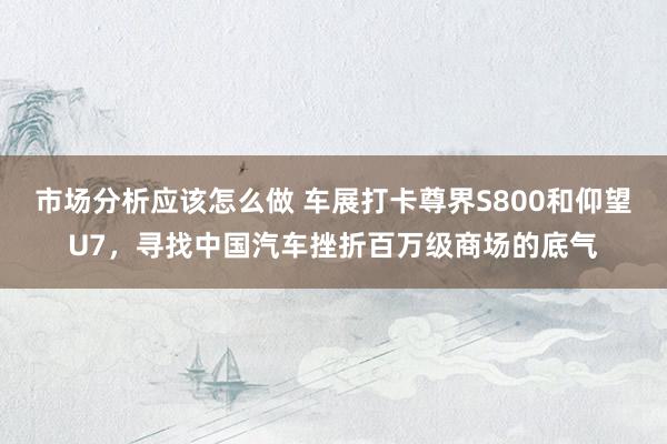 市场分析应该怎么做 车展打卡尊界S800和仰望U7，寻找中国汽车挫折百万级商场的底气