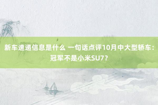 新车速递信息是什么 一句话点评10月中大型轿车：冠军不是小米SU7？