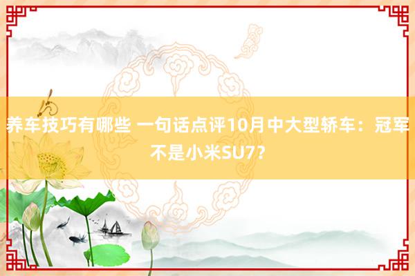 养车技巧有哪些 一句话点评10月中大型轿车：冠军不是小米SU7？