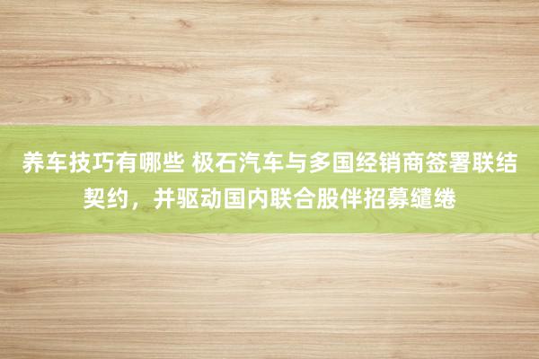 养车技巧有哪些 极石汽车与多国经销商签署联结契约，并驱动国内联合股伴招募缱绻