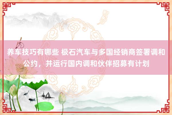 养车技巧有哪些 极石汽车与多国经销商签署调和公约，并运行国内调和伙伴招募有计划