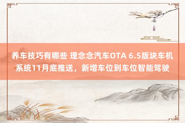 养车技巧有哪些 理念念汽车OTA 6.5版块车机系统11月底推送，新增车位到车位智能驾驶