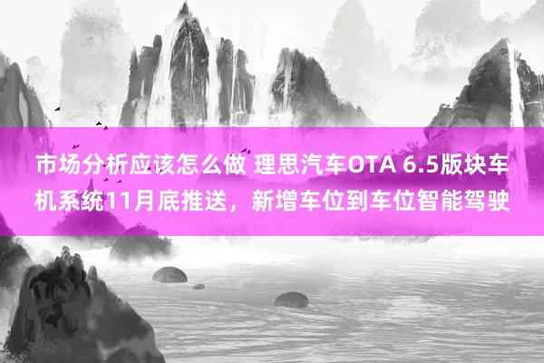 市场分析应该怎么做 理思汽车OTA 6.5版块车机系统11月底推送，新增车位到车位智能驾驶