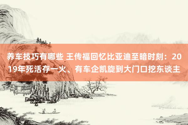 养车技巧有哪些 王传福回忆比亚迪至暗时刻：2019年死活存一火、有车企凯旋到大门口挖东谈主