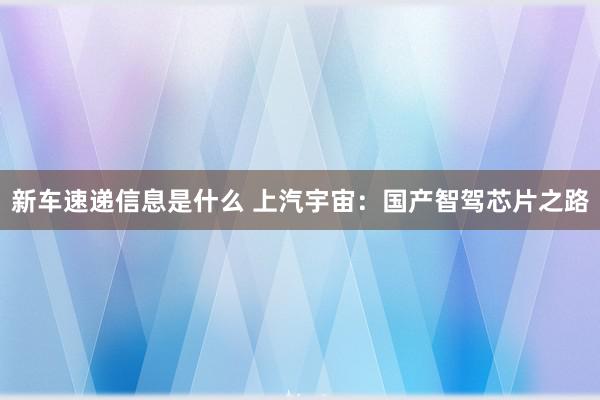 新车速递信息是什么 上汽宇宙：国产智驾芯片之路