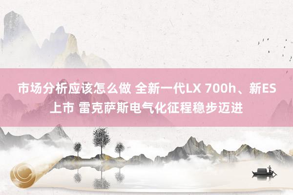 市场分析应该怎么做 全新一代LX 700h、新ES上市 雷克萨斯电气化征程稳步迈进