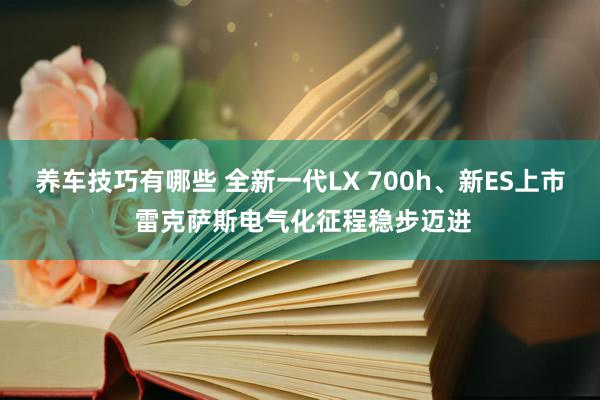 养车技巧有哪些 全新一代LX 700h、新ES上市 雷克萨斯电气化征程稳步迈进