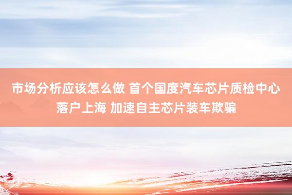 市场分析应该怎么做 首个国度汽车芯片质检中心落户上海 加速自主芯片装车欺骗