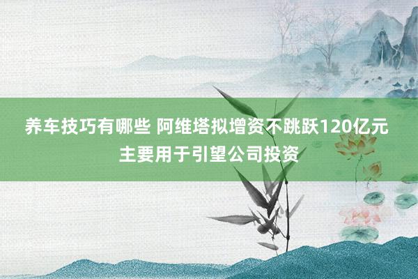 养车技巧有哪些 阿维塔拟增资不跳跃120亿元 主要用于引望公司投资