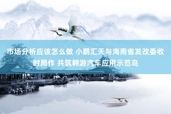 市场分析应该怎么做 小鹏汇天与海南省发改委收时局作 共筑翱游汽车应用示范岛