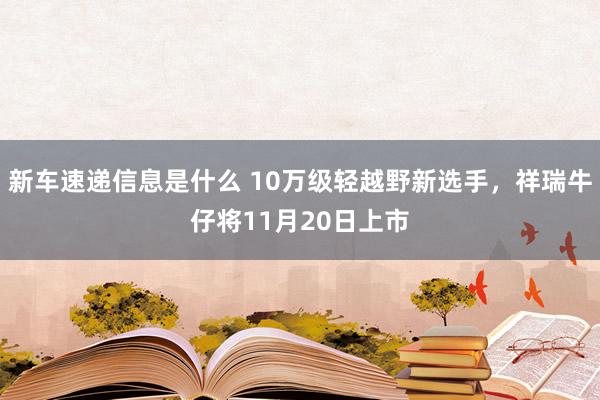 新车速递信息是什么 10万级轻越野新选手，祥瑞牛仔将11月20日上市