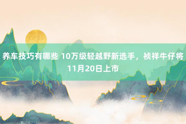 养车技巧有哪些 10万级轻越野新选手，祯祥牛仔将11月20日上市